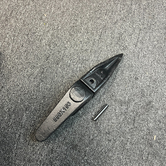 https://i.ebayimg.com/00/s/MTYwMFgxNjAw/z/ZrkAAOSwdZhl53VI/$_57.JPG?set_id=880000500F